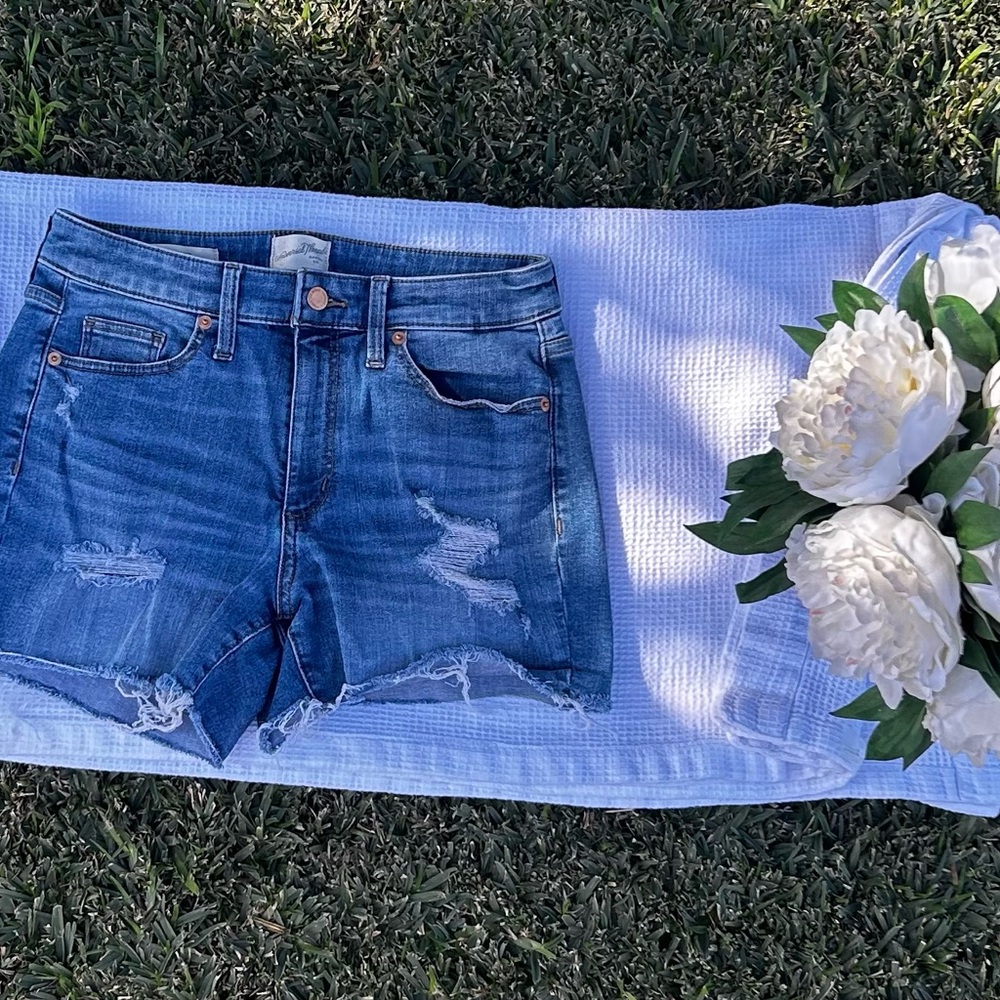 Universal Thread Women's Jean Shorts - Blue